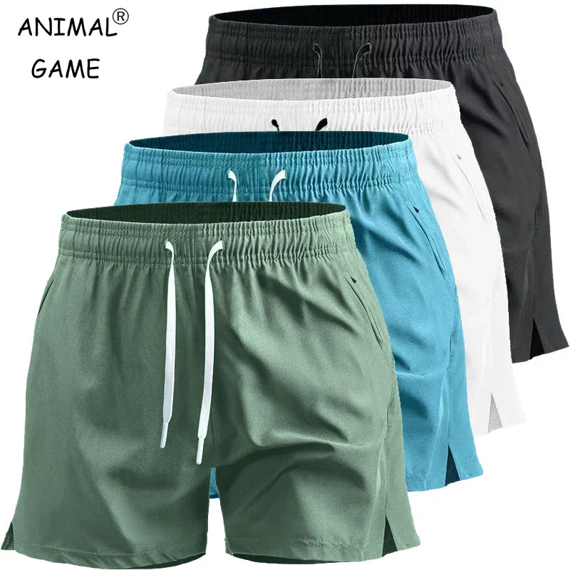 Men's Quick Dry Summer Shorts
